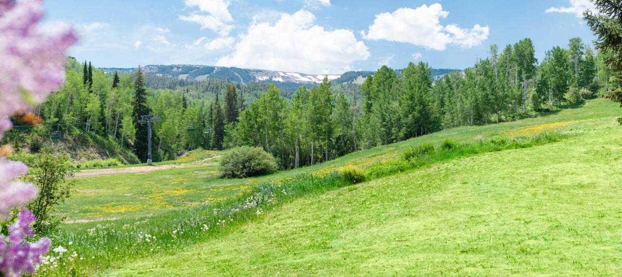 Laurelwood Condominiums 307 Snowmass Village Esterno foto